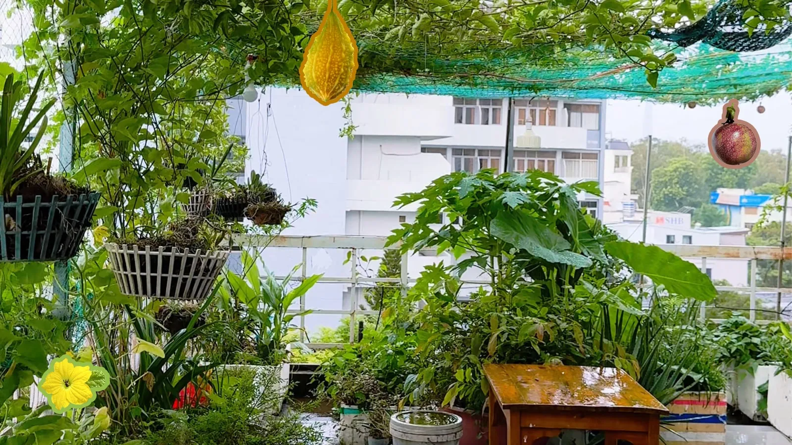 Cách ủ phân hữu cơ tại nhà: Hướng dẫn làm phân hữu cơ chi tiết cho người mới bắt đầu