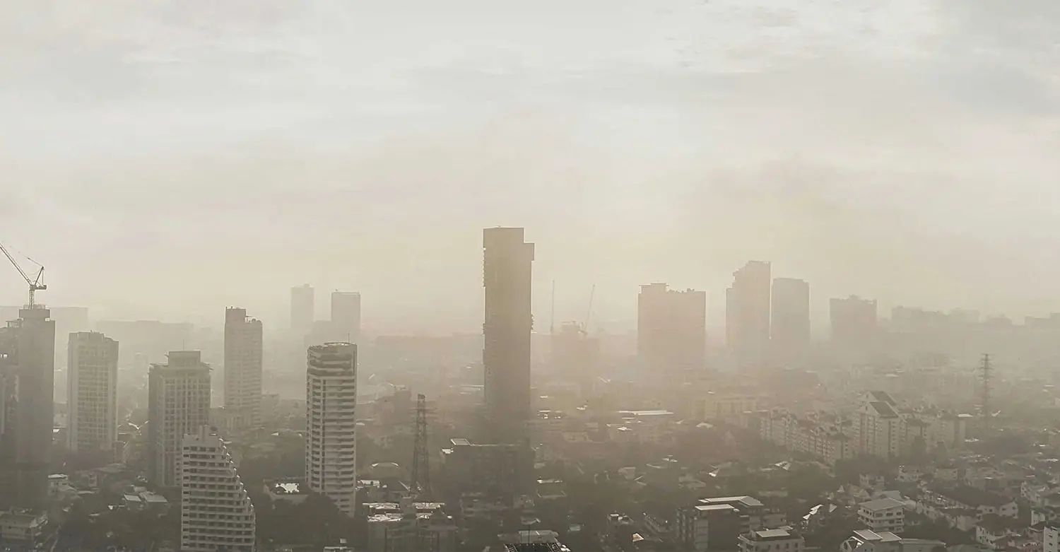 Ozon mặt đất góp phần tạo nên sương mù dày đặc vào buổi sáng tại các thành phố lớn
