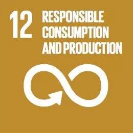 SDG 12: Sản xuất và tiêu dùng có trách nhiệm icon