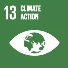 SDG 13: Hành động vì khí hậu icon
