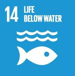 SDG 14: Cuộc sống dưới nước icon