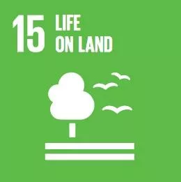 SDG 15: Cuộc sống trên đất liền icon