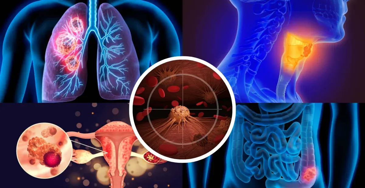 Thuốc đích được sử dụng trong các liệu pháp nhắm trúng đích trong điều trị nhiều bệnh ung thư phổ biến.