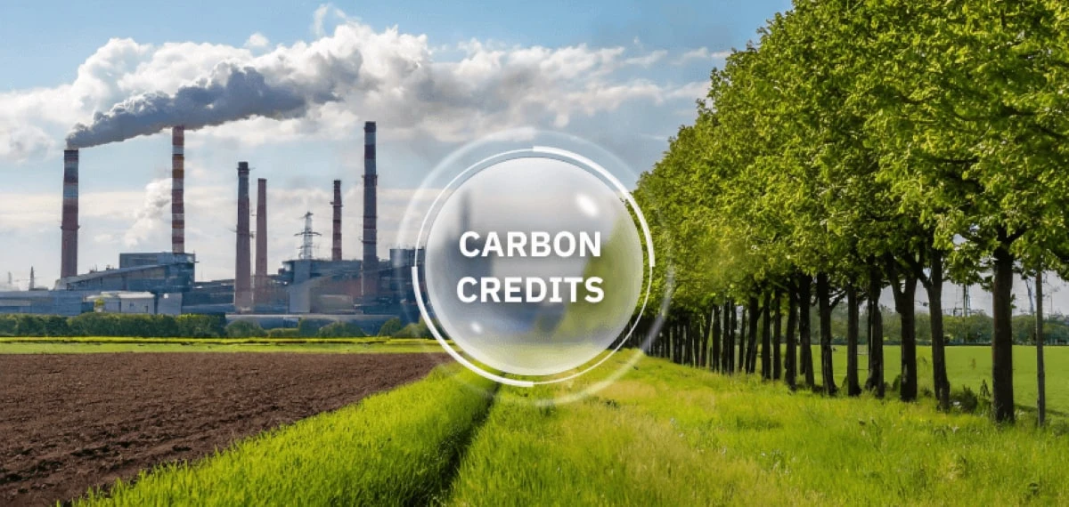 What are carbon credits? What is the carbon credit market?