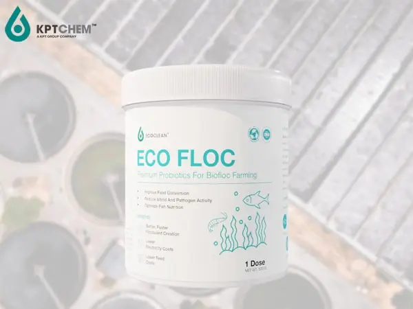 Eco Floc™ - Chế phẩm sinh học cho chăn nuôi BioFloc