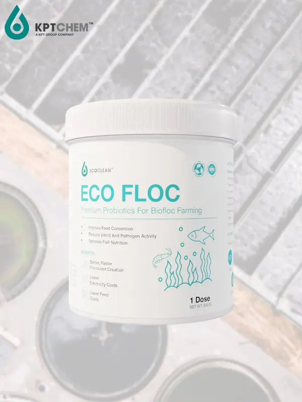 Eco Floc™ - Chế phẩm sinh học cho chăn nuôi BioFloc