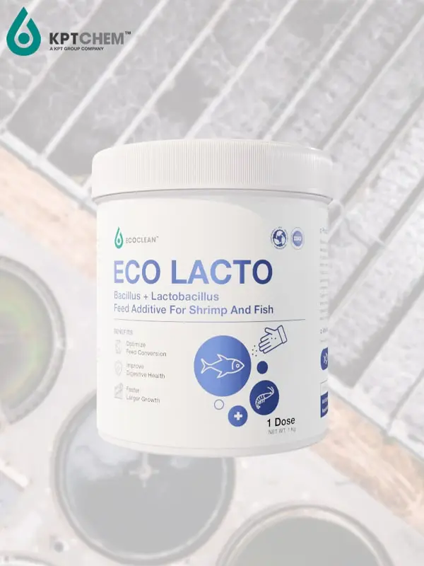 Eco Lacto™ - Phụ gia thức ăn - lợi khuẩn Bacillus và Lactobacillus cho tôm và cá