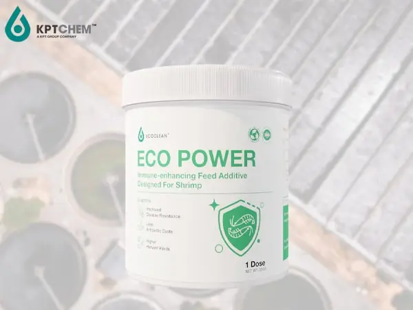 Eco Power™- Phụ gia thức ăn tăng cường miễn dịch dành riêng cho tôm