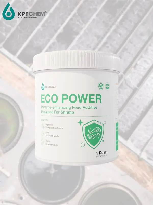 Eco Power™- Phụ gia thức ăn tăng cường miễn dịch dành riêng cho tôm