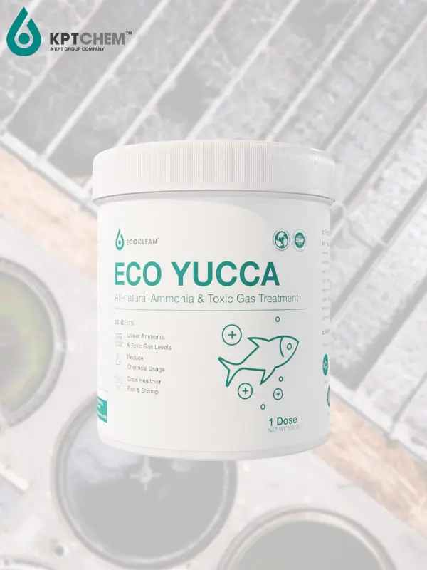 Eco Yucca™ - Vi sinh Xử lý khí độc và Ammonia cho cá và tôm