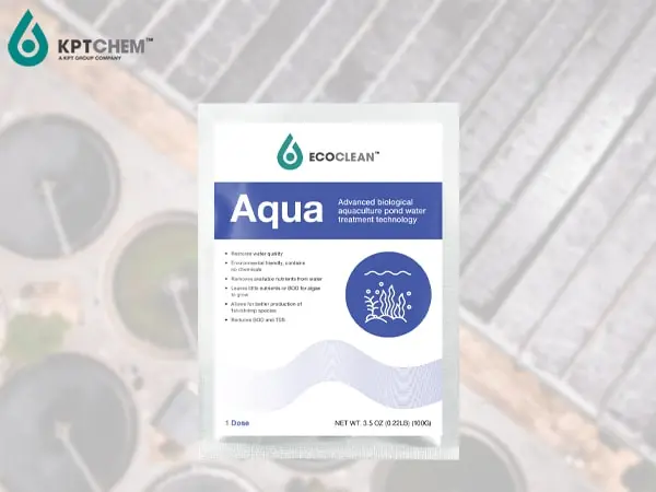 EcoClean™ Aqua - Vi sinh xử lý nước thải ao nuôi